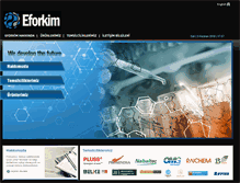 Tablet Screenshot of eforkim.com